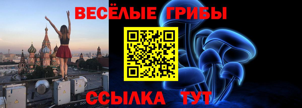 Пугачёв  Галлюциногенные грибы GOLDEN TEACHER  Вход с VPN 
